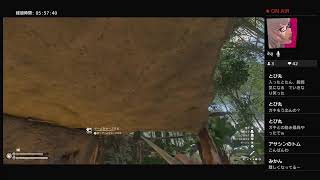 ｹﾞｰﾑ初心者女がグリーンヘルする動画(目標：アマゾニアの精霊攻略)