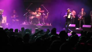 The Dualers - Wet Dream