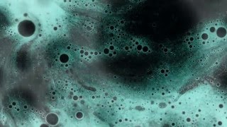 Harold Budd - The other room