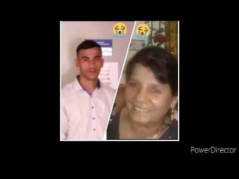 Gipsy tomas halgaty 2022