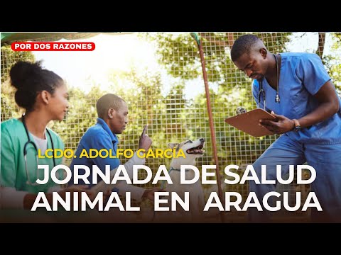 MARACAY - Jornada de salud animal en Aragua - POR DOS RAZONES