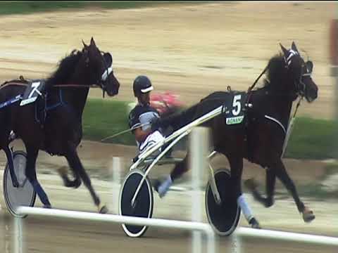 Trotto 21/09/2018 - 1ª corsa