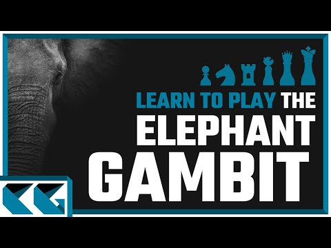 Chess Openings: Learn to Play the Elephant Gambit!
