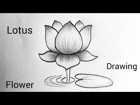 How To Make A Lotus Drawing Easy | How To Draw A Lotus Flower Very Easy Step By Step