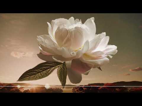 Syn Cole & MKLA - Side by Side (Sunrise Mix)