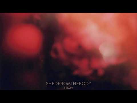 "Hush" - Shedfromthebody