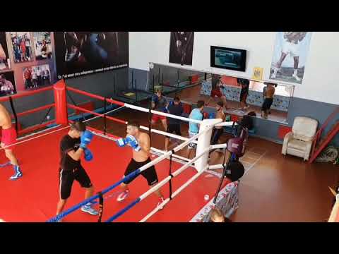 Boxing School Briceni