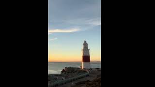 Best of Gibraltar - Princess Cruises Surprising Excursion!