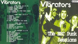 The Vibrators - Baby Baby (BBC Punk Sessions Version)