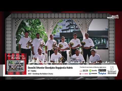 ORKESTAR SLAVOLJUBA BOGOJEVICA KALETA - VASILICA