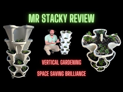 Mr Stacky Review