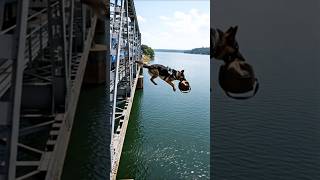 Brave Police Dog saves hundreds of lives on train #inspiration #pets #k9 #save