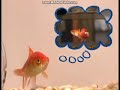 Elmo S World Pets Imagination Redone With Bandicam Sony Wonder Style