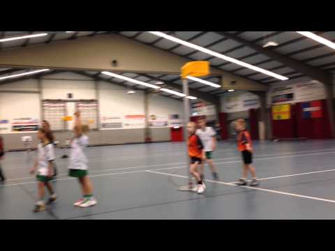 Dijkvogels F1 - Valto F1