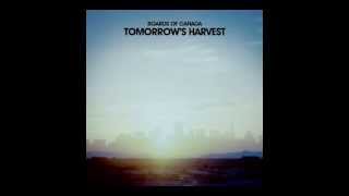 Boards of Canada - Sick Times