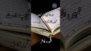 Download lagu surah Fatir Ayat 5-6 mp3