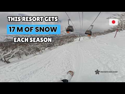 Kiroro Resort Review | Best Tree Riding In Japan???