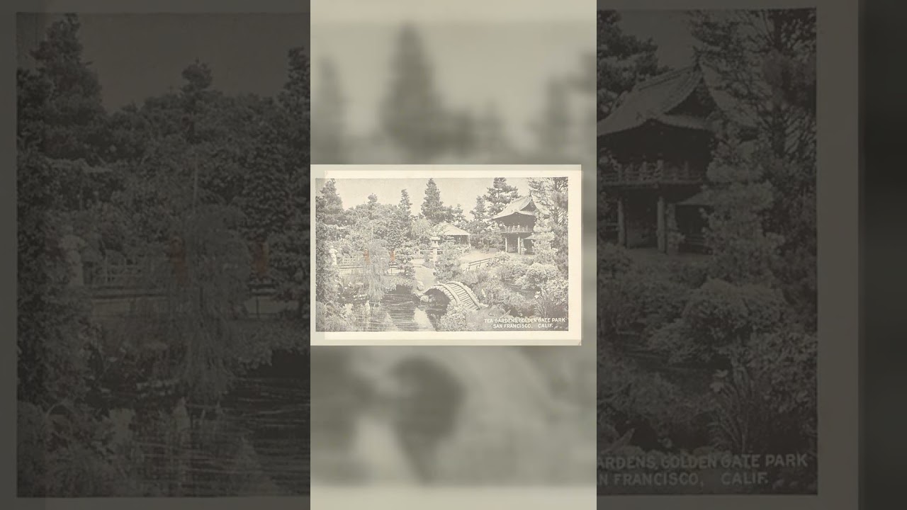 Tea Gardens, Golden Gate Park, San Francisco, 1920s Photo Print Card Video