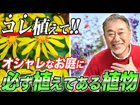 エクステリアガーデンデザイントレンド2022