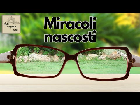 Dio è sempre all’opera - Voglio risvegliare l'alba