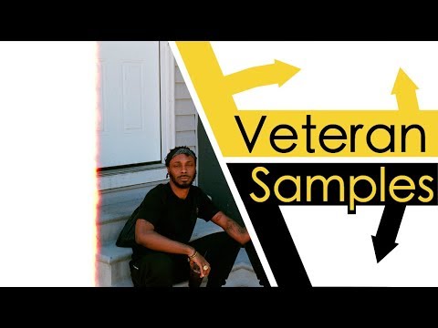 Every Sample From JPEGMAFIA's Veteran