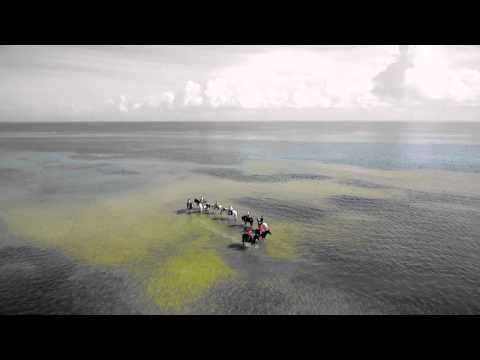 Linnea Krepper  How Could You (This Sunday)