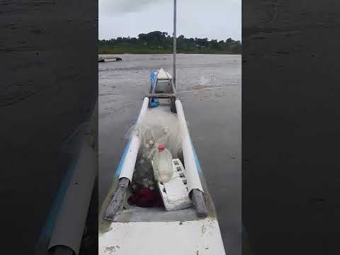 leilão de canoa em baiacu Vera Cruz Bahia #pescaria