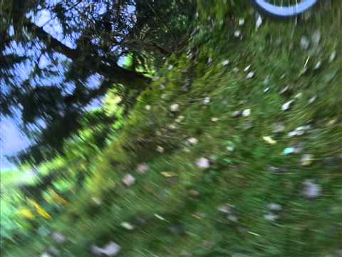 Tadas Daumantas - Slibinai