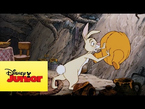 Mini aventuras de Winnie the Pooh - Atrapado en casa de Conejo
