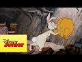 Mini Aventuras De Winnie The Pooh Atrapado En Casa De Conejo