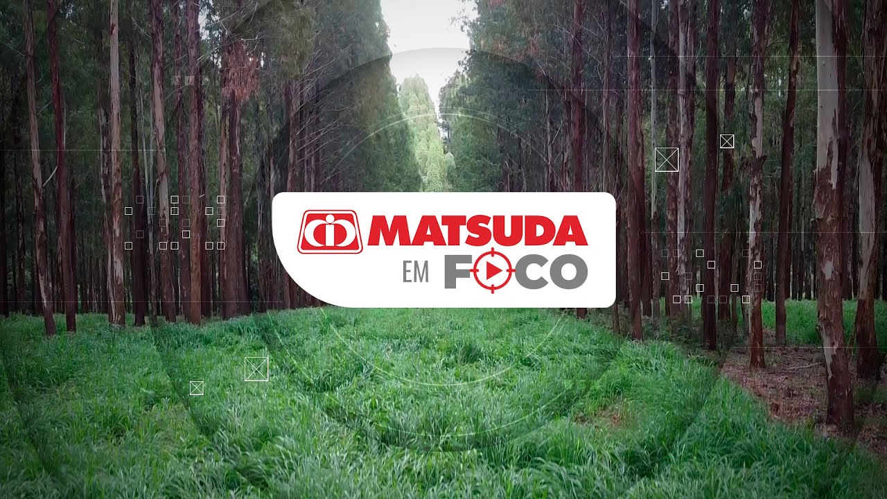 Matsuda em Foco l ILP e ILPF