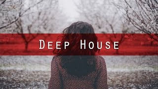 Hiatus - Precipice (Anden Remix) [Deep House I Euphonic Records]