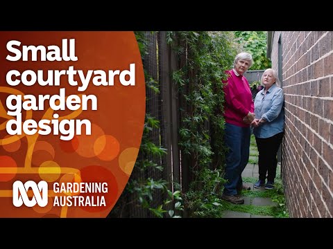 Tips for planning out a small space courtyard garden | Garden Design | Gardening Australia