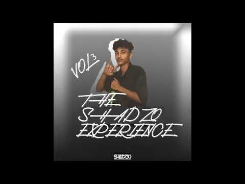 DJ ShadzO - The ShadzO Experience (Vol 3)