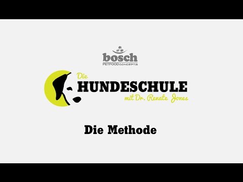 Die Hundeschule - Die Methode