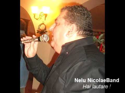 Nelu NicolaeBand - Hai lautare !