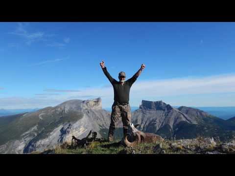 EPIC 39 DAY STONE SHEEP HUNT! "On the trail of Chadwick"