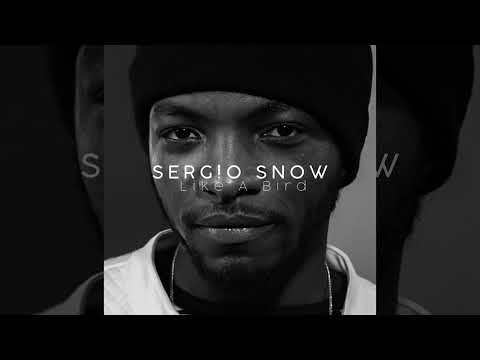 Sergio Snow - Like A Bird (Audio)