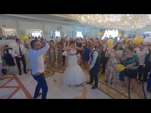 Y.M.C.A. Balli di Gruppo divertenti al Matrimonio - Gabri Park Hotel - Francesco Barattucci Showman