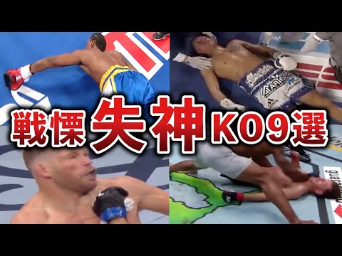 【格闘技】戦慄！カウンター失神KO9選