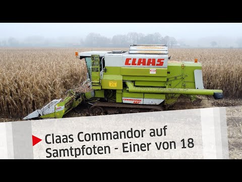 Einer von 18: Claas Commandor 115 CS auf Samtpfoten | profi #Report