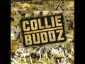 Collie Buddz - SOS [Kofi Kingston Theme] Full ...