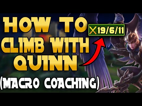 How To Become A Macro GOD With Quinn (EDUCATIONAL COACHING)
