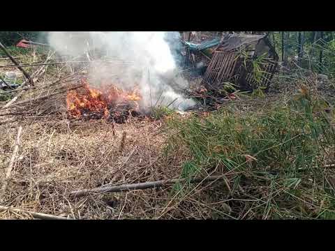 mag siga kasi wlang gawa