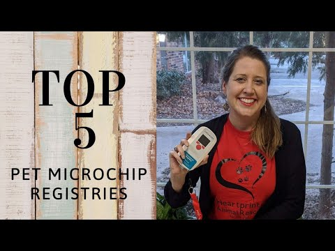 TOP 5 Pet Microchip Registries