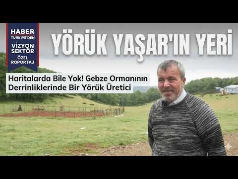 Gebze Ormanlarında Saklı Bir Yörük Geleneği: Yörük Yaşar'ın Yeri