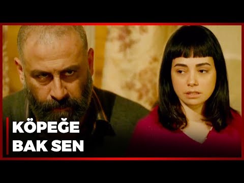 Narin, Babasını ve Abisini Yola Getiriyor - Merhamet 5. Bölüm