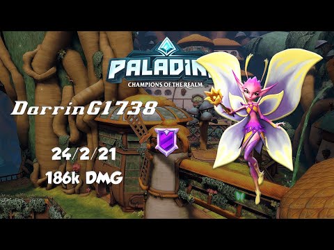 DarrinG1738 - Willo (Platinum 5) Paladins Tube