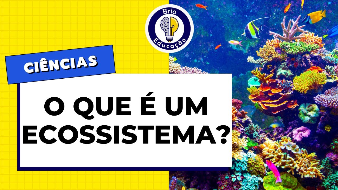Ciências: O que é um ECOSSISTEMA | Brio Educação