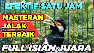 Download lagu Burung Jalak Suren Kreasi Gacor Full Isian Tembakan Mewah Suara Unik Jernih mantap mp3 Download lagu Burung Jalak Suren Kreasi Gacor Full Isian Tembakan Mewah Suara Unik Jernih mantap mp3